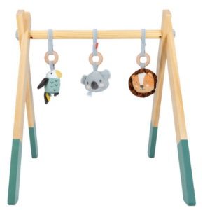 Wooden Play Gym
